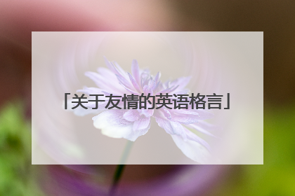 关于友情的英语格言