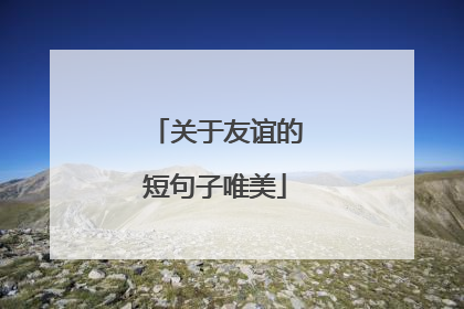 关于友谊的短句子唯美