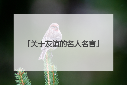 关于友谊的名人名言