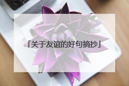 关于友谊的好句摘抄