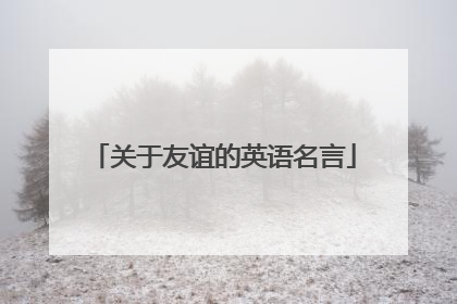 关于友谊的英语名言