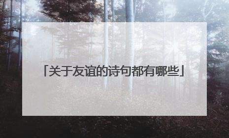 关于友谊的诗句都有哪些