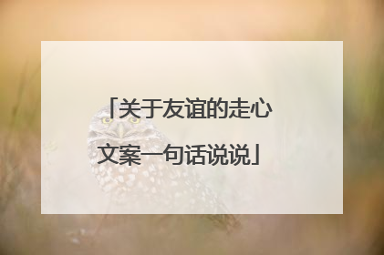 关于友谊的走心文案一句话说说