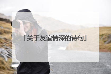 关于友谊情深的诗句