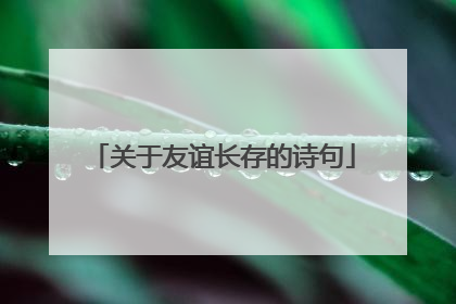 关于友谊长存的诗句