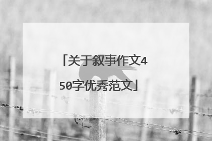 关于叙事作文450字优秀范文