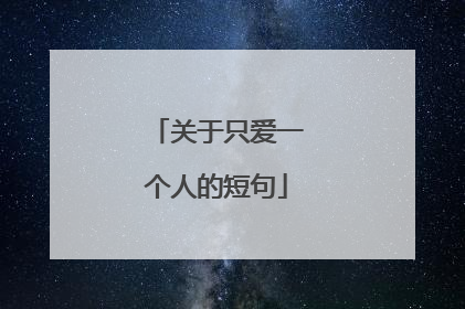 关于只爱一个人的短句