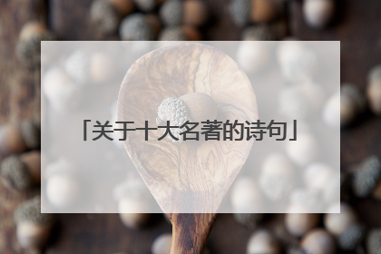 关于十大名著的诗句