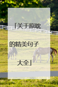 关于原耽的精美句子大全