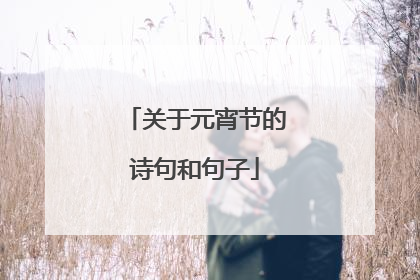 关于元宵节的诗句和句子