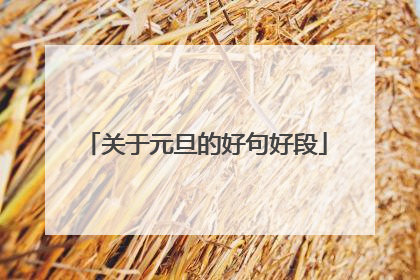 关于元旦的好句好段