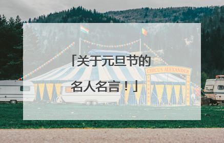 关于元旦节的名人名言!
