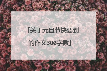 关于元旦节快要到的作文300字数