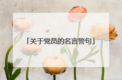 关于党员的名言警句