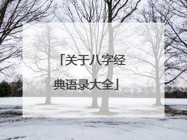 关于八字经典语录大全