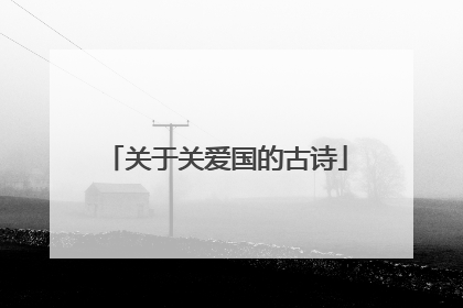 关于关爱国的古诗