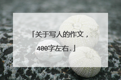 关于写人的作文,400字左右.