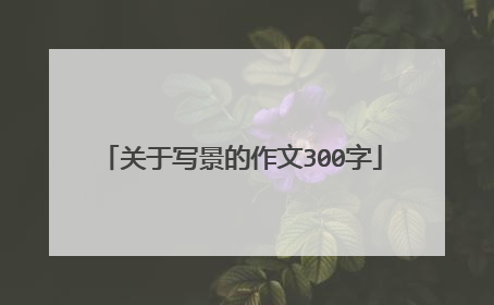 关于写景的作文300字
