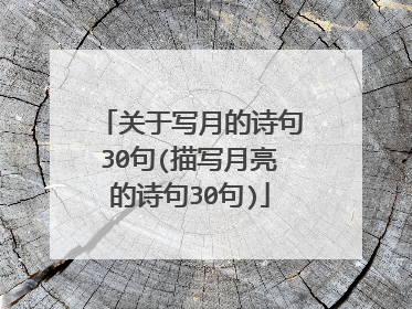 关于写月的诗句30句(描写月亮的诗句30句)