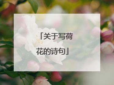 关于写荷花的诗句