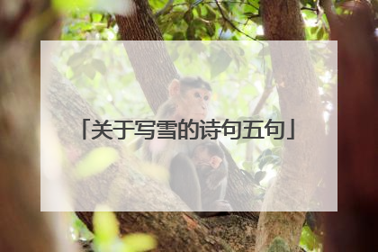关于写雪的诗句五句