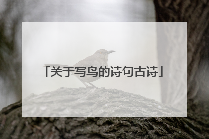 关于写鸟的诗句古诗