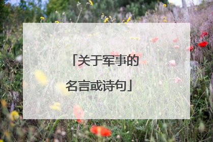 关于军事的名言或诗句
