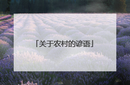 关于农村的谚语