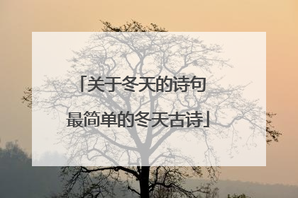 关于冬天的诗句 最简单的冬天古诗