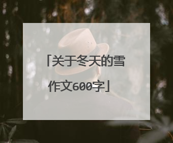 关于冬天的雪作文600字