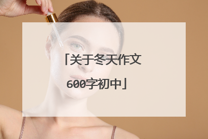 关于冬天作文600字初中