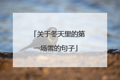 关于冬天里的第一场雪的句子