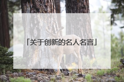 关于创新的名人名言