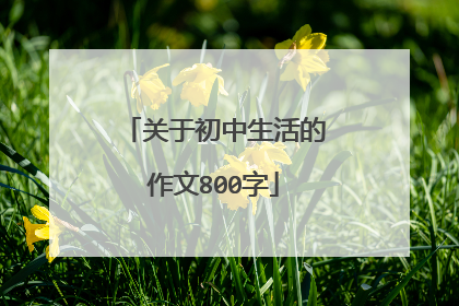 关于初中生活的作文800字