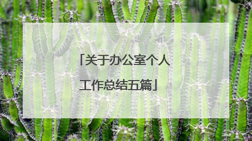 关于办公室个人工作总结五篇