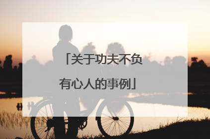 关于功夫不负有心人的事例
