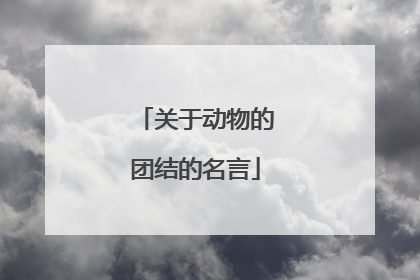 关于动物的团结的名言