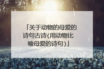 关于动物的母爱的诗句古诗(用动物比喻母爱的诗句)