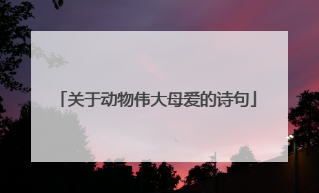 关于动物伟大母爱的诗句