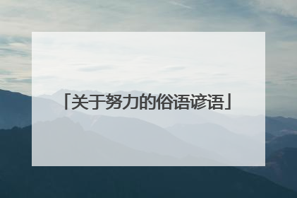 关于努力的俗语谚语
