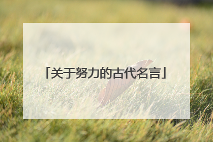 关于努力的古代名言
