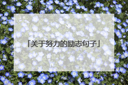 关于努力的励志句子