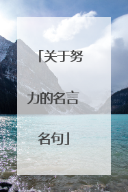 关于努力的名言名句