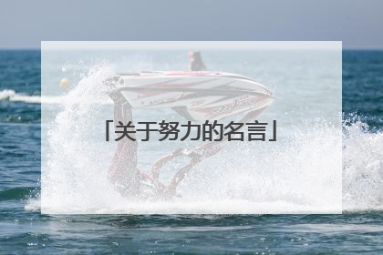 关于努力的名言