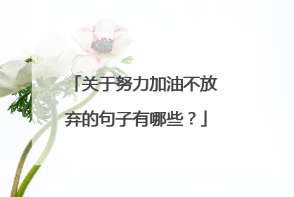 关于努力加油不放弃的句子有哪些？