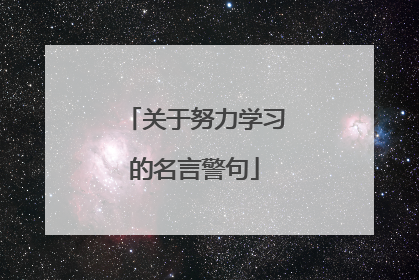 关于努力学习的名言警句