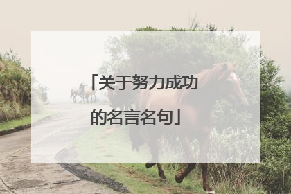 关于努力成功的名言名句