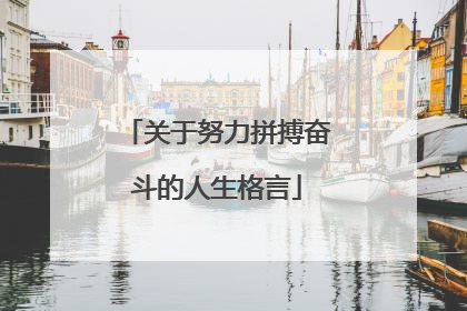 关于努力拼搏奋斗的人生格言