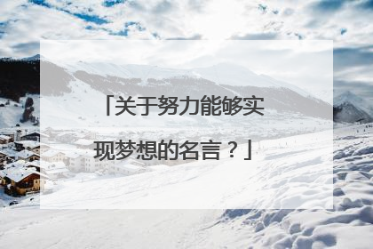 关于努力能够实现梦想的名言?
