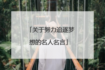 关于努力追逐梦想的名人名言